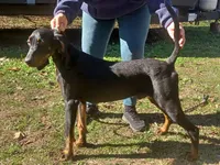 processed/b8913532-aa7d-41c9-a63b-db30c727ab59/listing/d71df86f-8cfb-4e26-b330-da5229082c57/8cd5075d-0a52-4344-a5de-1dbd9af66cb1