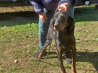 processed/b8913532-aa7d-41c9-a63b-db30c727ab59/listing/d71df86f-8cfb-4e26-b330-da5229082c57/a54ee83e-8291-4159-bb73-5a34010f359e