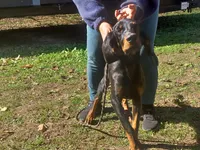 processed/b8913532-aa7d-41c9-a63b-db30c727ab59/listing/d71df86f-8cfb-4e26-b330-da5229082c57/c5b1ed21-dd8b-44a8-b705-c54c28aef54c