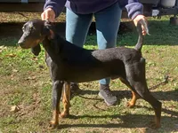 processed/b8913532-aa7d-41c9-a63b-db30c727ab59/listing/d71df86f-8cfb-4e26-b330-da5229082c57/f788fb3a-e89b-4fa1-9802-a247bc0f29fb