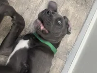 processed/b89a47a7-9d84-4561-9e18-5497ba4c3a20/listing/8354f277-aadc-439b-8528-c7c72f935e33/433b806c-3c13-4359-bda5-11c3a2e11f62