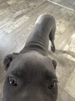 processed/b89a47a7-9d84-4561-9e18-5497ba4c3a20/listing/8354f277-aadc-439b-8528-c7c72f935e33/5396a79f-314f-4708-9318-6ce2b4527b98