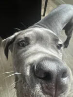 processed/b89a47a7-9d84-4561-9e18-5497ba4c3a20/listing/8354f277-aadc-439b-8528-c7c72f935e33/608a8183-9a54-41fb-994d-f5fbd31c087f