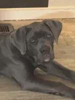 processed/b89a47a7-9d84-4561-9e18-5497ba4c3a20/listing/8354f277-aadc-439b-8528-c7c72f935e33/b1fee140-32da-4ba7-b3c8-de1354f55e45