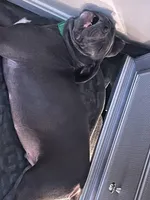 processed/b89a47a7-9d84-4561-9e18-5497ba4c3a20/listing/8354f277-aadc-439b-8528-c7c72f935e33/f961f43d-9205-4a53-9697-9f74eb3d5f77