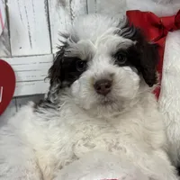 processed/b89d89a7-8cd0-4ba2-886c-60cfc04c0ca5/listing/58c565b8-6775-4a08-93e3-5ccdbe749012/25da7a23-6e77-4ff6-a0f6-ce26e1d9749d