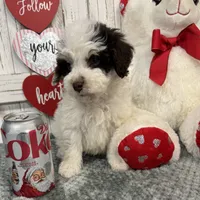 processed/b89d89a7-8cd0-4ba2-886c-60cfc04c0ca5/listing/58c565b8-6775-4a08-93e3-5ccdbe749012/3934f0b0-88e8-4ce0-ab0a-8b1714381e49