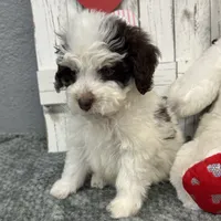 processed/b89d89a7-8cd0-4ba2-886c-60cfc04c0ca5/listing/58c565b8-6775-4a08-93e3-5ccdbe749012/85ab8341-7817-4458-ae5e-5109f54f640f