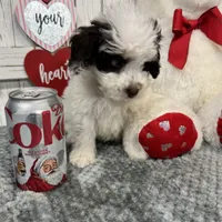 processed/b89d89a7-8cd0-4ba2-886c-60cfc04c0ca5/listing/58c565b8-6775-4a08-93e3-5ccdbe749012/898d40b9-acb1-4c92-a0cf-6773634857e5