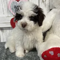 processed/b89d89a7-8cd0-4ba2-886c-60cfc04c0ca5/listing/58c565b8-6775-4a08-93e3-5ccdbe749012/c11b47cd-9fc3-4ef8-a967-2b6ecee95384