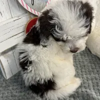 processed/b89d89a7-8cd0-4ba2-886c-60cfc04c0ca5/listing/58c565b8-6775-4a08-93e3-5ccdbe749012/dfc6c240-a1e4-4745-8786-3f855a3d677a