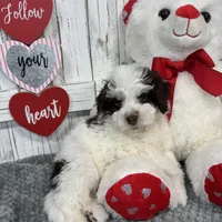 processed/b89d89a7-8cd0-4ba2-886c-60cfc04c0ca5/listing/58c565b8-6775-4a08-93e3-5ccdbe749012/f751245d-4aa1-4b41-a9da-d718ee7f0e5d