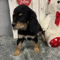 processed/b89d89a7-8cd0-4ba2-886c-60cfc04c0ca5/listing/a5767006-db4a-44ce-8885-deb1be86983c/1a4a6934-4ce0-4a2e-a240-4b59dc9afaf7