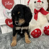 processed/b89d89a7-8cd0-4ba2-886c-60cfc04c0ca5/listing/a5767006-db4a-44ce-8885-deb1be86983c/1b644e53-a934-472e-815f-4fddcc48d948