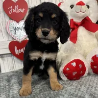 processed/b89d89a7-8cd0-4ba2-886c-60cfc04c0ca5/listing/a5767006-db4a-44ce-8885-deb1be86983c/48ea4159-d66b-4c58-bff4-ba25c5a0c2b7