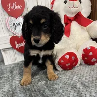 processed/b89d89a7-8cd0-4ba2-886c-60cfc04c0ca5/listing/a5767006-db4a-44ce-8885-deb1be86983c/572e88b4-9280-4314-972d-f07cfc8531a0