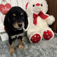 processed/b89d89a7-8cd0-4ba2-886c-60cfc04c0ca5/listing/a5767006-db4a-44ce-8885-deb1be86983c/a5332418-1a02-40fa-8149-ad1763ad8bc9