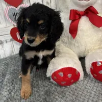 processed/b89d89a7-8cd0-4ba2-886c-60cfc04c0ca5/listing/a5767006-db4a-44ce-8885-deb1be86983c/b0066505-51f4-4d99-a12c-cf43328aa4e2