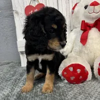 processed/b89d89a7-8cd0-4ba2-886c-60cfc04c0ca5/listing/a5767006-db4a-44ce-8885-deb1be86983c/d8e92ee7-9908-4b90-99a4-e5d346189045