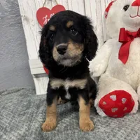 processed/b89d89a7-8cd0-4ba2-886c-60cfc04c0ca5/listing/a5767006-db4a-44ce-8885-deb1be86983c/de2e4cf9-b2ba-48e4-9833-073f0c44f942