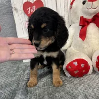 processed/b89d89a7-8cd0-4ba2-886c-60cfc04c0ca5/listing/a5767006-db4a-44ce-8885-deb1be86983c/efbe79d9-4175-4219-a27b-44b244a56e63