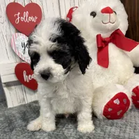 processed/b89d89a7-8cd0-4ba2-886c-60cfc04c0ca5/listing/e2787dc9-218a-44bb-81b7-dee0cc137308/1c69c8d0-8ccb-44d6-b037-f5756c1fa3cf