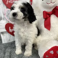 processed/b89d89a7-8cd0-4ba2-886c-60cfc04c0ca5/listing/e2787dc9-218a-44bb-81b7-dee0cc137308/3549027f-06c2-4c57-a98f-9867c14d1033