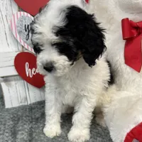 processed/b89d89a7-8cd0-4ba2-886c-60cfc04c0ca5/listing/e2787dc9-218a-44bb-81b7-dee0cc137308/82489c7e-1b35-451d-96ae-ab0696a8ecf7