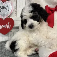 processed/b89d89a7-8cd0-4ba2-886c-60cfc04c0ca5/listing/e2787dc9-218a-44bb-81b7-dee0cc137308/9a93cd83-6b1f-4af4-afdf-2481c578ea36