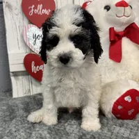 processed/b89d89a7-8cd0-4ba2-886c-60cfc04c0ca5/listing/e2787dc9-218a-44bb-81b7-dee0cc137308/9fb65f12-cc2f-4ab7-8fe1-53134ebe49b5