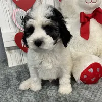 processed/b89d89a7-8cd0-4ba2-886c-60cfc04c0ca5/listing/e2787dc9-218a-44bb-81b7-dee0cc137308/a76f3aaf-a030-44d4-bb89-24f56095b17c