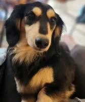 processed/b89daefe-88c0-45db-b999-5c4ac78236a1/listing/482aca6e-c97e-450e-af55-d4566f8434b3/a09c9a09-b5a5-4afe-9e73-b8ab996f1d33