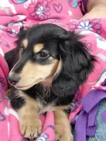 processed/b89daefe-88c0-45db-b999-5c4ac78236a1/listing/d8d47c74-572a-40b6-bbea-81010a08b978/4be48db4-006d-4900-b99b-2e0d29b7e07b