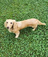 processed/b89daefe-88c0-45db-b999-5c4ac78236a1/listing/d8d47c74-572a-40b6-bbea-81010a08b978/4c3848c0-19ab-4578-990a-0001d1039394