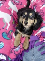 processed/b89daefe-88c0-45db-b999-5c4ac78236a1/listing/d8d47c74-572a-40b6-bbea-81010a08b978/7bf8e70e-bca2-4d58-94b1-ce8116f744ed