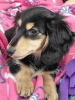 processed/b89daefe-88c0-45db-b999-5c4ac78236a1/listing/d8d47c74-572a-40b6-bbea-81010a08b978/e07423e6-4ebb-4fa4-8967-6f89c1d424b4