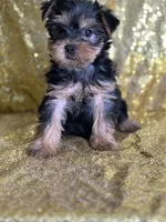 processed/b89f3324-c667-4c5a-a198-fb284c824684/listing/409e8492-2886-4fcd-af7f-6274f9107bb4/694ba602-1f34-447b-9ef2-8870aa11a1c8