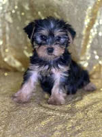 processed/b89f3324-c667-4c5a-a198-fb284c824684/listing/409e8492-2886-4fcd-af7f-6274f9107bb4/78e6f3a8-a084-4ffd-b354-ca1ecb84ab38