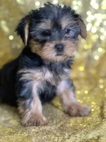 processed/b89f3324-c667-4c5a-a198-fb284c824684/listing/409e8492-2886-4fcd-af7f-6274f9107bb4/c0253d5b-ae96-4b04-a227-62be78c311c8