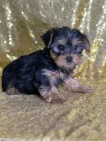 processed/b89f3324-c667-4c5a-a198-fb284c824684/listing/409e8492-2886-4fcd-af7f-6274f9107bb4/d03fa56d-2968-48d2-8081-182498ebe905