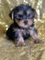 processed/b89f3324-c667-4c5a-a198-fb284c824684/listing/409e8492-2886-4fcd-af7f-6274f9107bb4/d4ea9716-e443-4c1f-93fb-c3617a40fd35