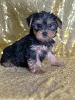 processed/b89f3324-c667-4c5a-a198-fb284c824684/listing/409e8492-2886-4fcd-af7f-6274f9107bb4/edb0cc47-00ed-42df-b6ef-e2b85bb5fe59