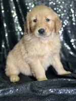 processed/b89f3324-c667-4c5a-a198-fb284c824684/listing/4e879dfd-53e5-488e-9c60-bd3575eb067e/4c8ded24-857c-47c9-9016-90dacae00ce5