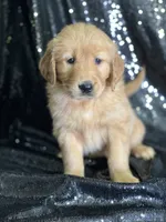 processed/b89f3324-c667-4c5a-a198-fb284c824684/listing/4e879dfd-53e5-488e-9c60-bd3575eb067e/872c7037-acd9-43da-b589-4751c239d731