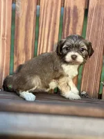 processed/b89f3324-c667-4c5a-a198-fb284c824684/listing/689abcd2-8289-41ce-9af8-7ebda104a061/2dcdb9b3-fad3-482b-a555-00446d328779