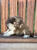 processed/b89f3324-c667-4c5a-a198-fb284c824684/listing/689abcd2-8289-41ce-9af8-7ebda104a061/34a0519a-0c8f-4d9c-9dcd-ad2c63f18293