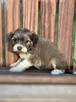 processed/b89f3324-c667-4c5a-a198-fb284c824684/listing/689abcd2-8289-41ce-9af8-7ebda104a061/5ac1d9dd-7ca4-44c9-947f-fddcc468a473