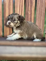 processed/b89f3324-c667-4c5a-a198-fb284c824684/listing/689abcd2-8289-41ce-9af8-7ebda104a061/793beaa6-ac11-423e-b45e-eb44747e7b6f