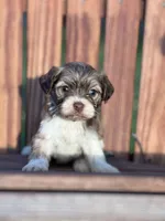 processed/b89f3324-c667-4c5a-a198-fb284c824684/listing/689abcd2-8289-41ce-9af8-7ebda104a061/d3c03ce5-15c7-4356-8579-ea274c92c976