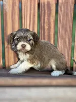 processed/b89f3324-c667-4c5a-a198-fb284c824684/listing/689abcd2-8289-41ce-9af8-7ebda104a061/dcf6563d-74da-4a79-afe6-289bf4e835e7